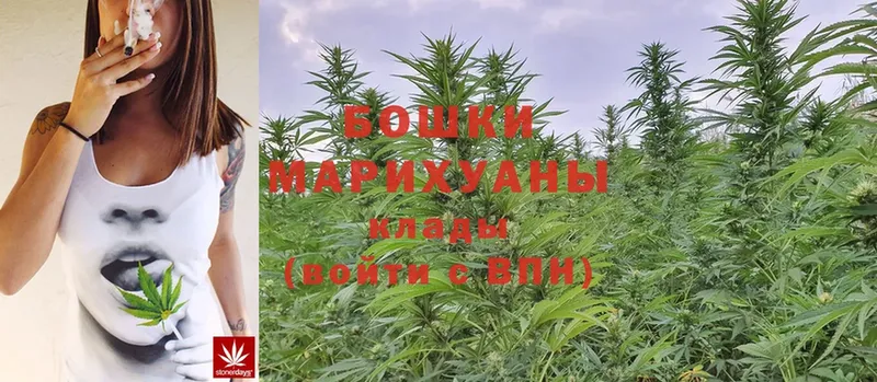 Бошки марихуана OG Kush  Злынка 